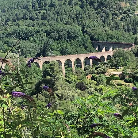 Mas La Tabatière Hébergement de vacances